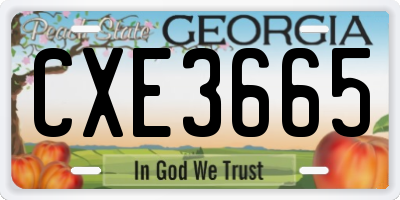 GA license plate CXE3665