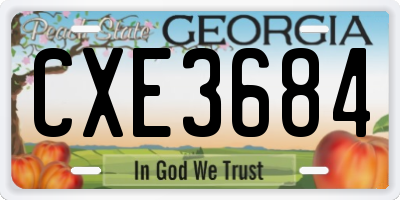 GA license plate CXE3684