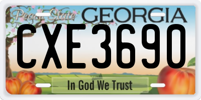 GA license plate CXE3690