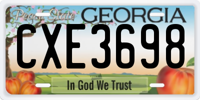 GA license plate CXE3698