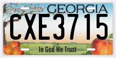 GA license plate CXE3715