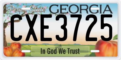 GA license plate CXE3725