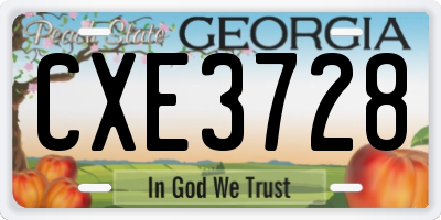 GA license plate CXE3728