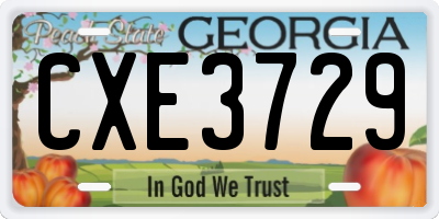 GA license plate CXE3729