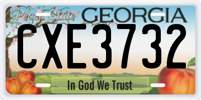 GA license plate CXE3732
