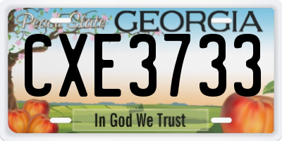 GA license plate CXE3733