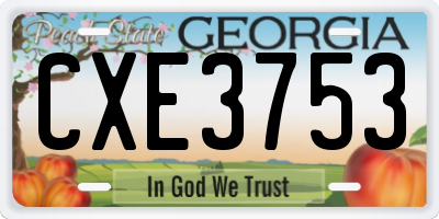 GA license plate CXE3753