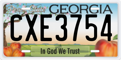 GA license plate CXE3754