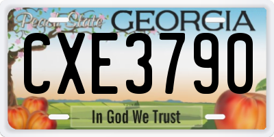 GA license plate CXE3790