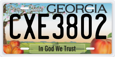 GA license plate CXE3802