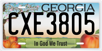 GA license plate CXE3805