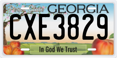 GA license plate CXE3829