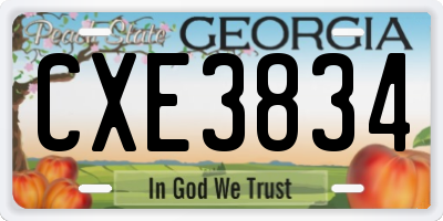 GA license plate CXE3834
