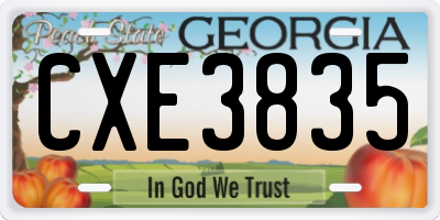 GA license plate CXE3835
