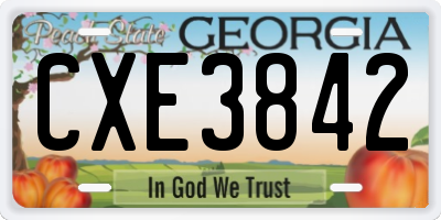 GA license plate CXE3842