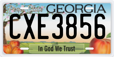GA license plate CXE3856