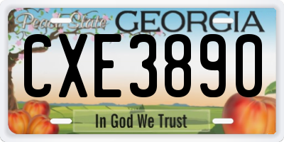 GA license plate CXE3890