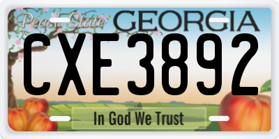 GA license plate CXE3892