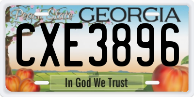 GA license plate CXE3896
