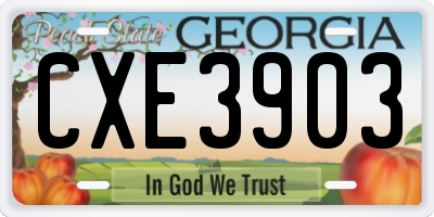 GA license plate CXE3903