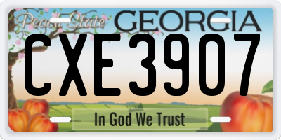 GA license plate CXE3907