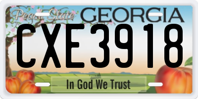 GA license plate CXE3918