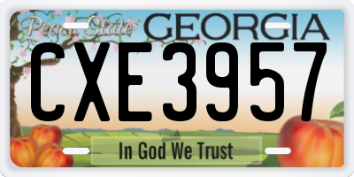 GA license plate CXE3957