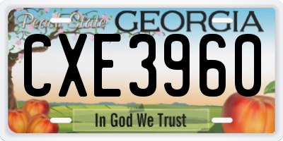 GA license plate CXE3960