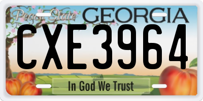 GA license plate CXE3964