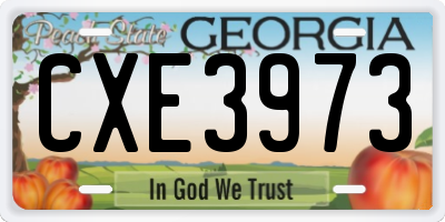 GA license plate CXE3973