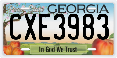 GA license plate CXE3983