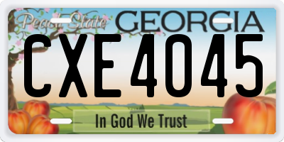 GA license plate CXE4045