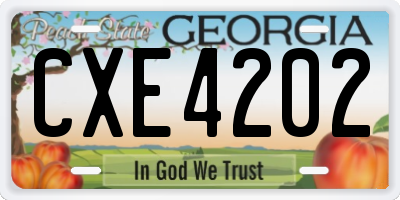 GA license plate CXE4202