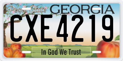 GA license plate CXE4219
