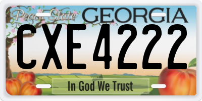 GA license plate CXE4222