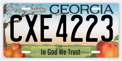 GA license plate CXE4223