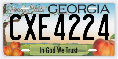 GA license plate CXE4224