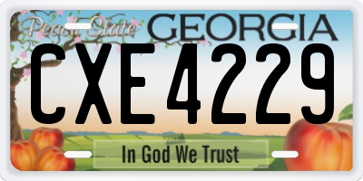 GA license plate CXE4229