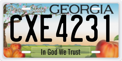 GA license plate CXE4231