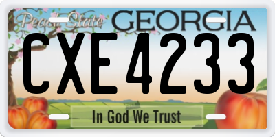 GA license plate CXE4233