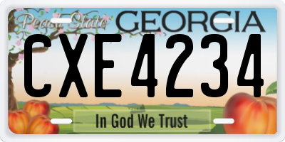 GA license plate CXE4234