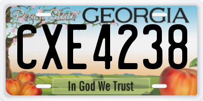 GA license plate CXE4238