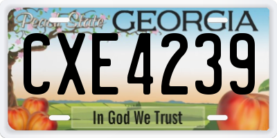 GA license plate CXE4239