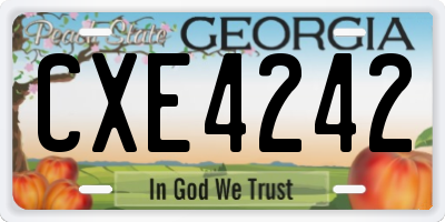GA license plate CXE4242