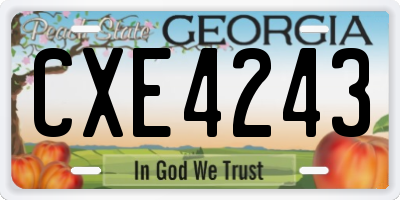 GA license plate CXE4243