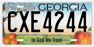 GA license plate CXE4244