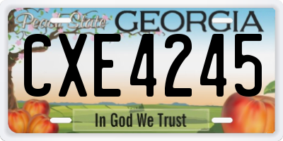 GA license plate CXE4245