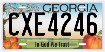 GA license plate CXE4246