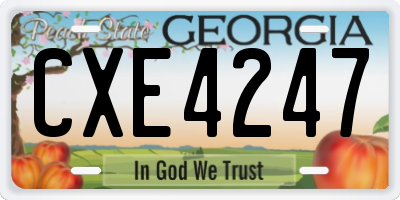 GA license plate CXE4247