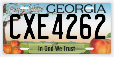 GA license plate CXE4262